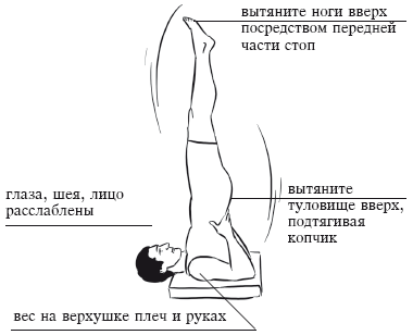 Йога и секреты долголетия i_036.png