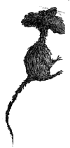 Фирмин. Из жизни городских низов _9.png