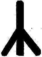 Северная магия: мистерии германских народов pic_59.png