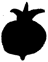 Северная магия: мистерии германских народов pic_112.png