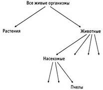 Психология критического мышления pic_155.jpg