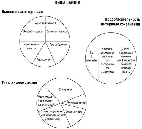 Психология критического мышления pic_5.jpg