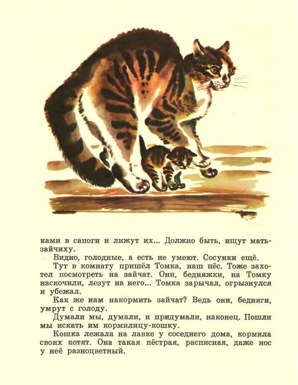Про зайчат i_006.jpg