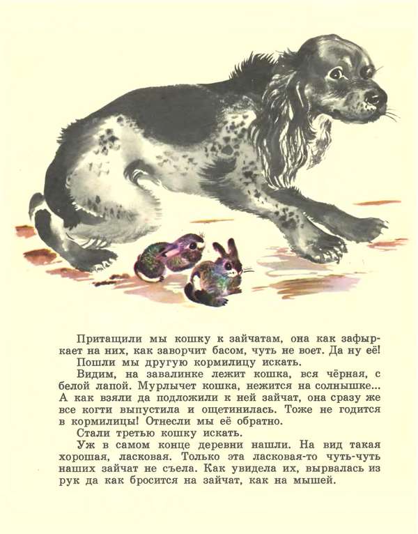 Про зайчат i_008.jpg