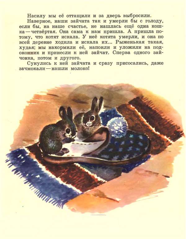 Про зайчат i_009.jpg