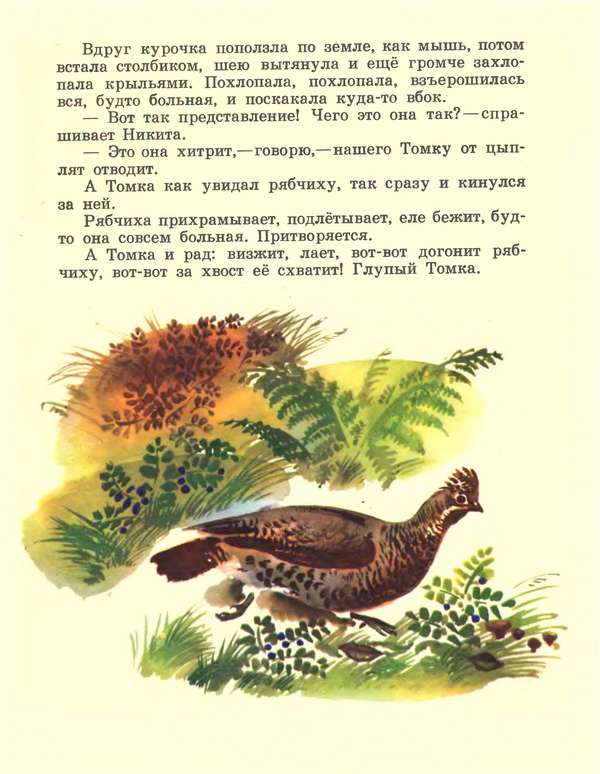 Про зайчат i_013.jpg