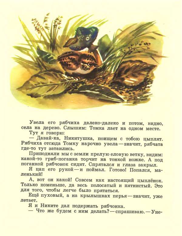 Про зайчат i_014.jpg