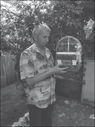 Разведение и содержание волнистых попугайчиков i_030.jpg
