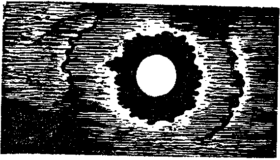 Атланты и кариатиды (сборник) img_3.png