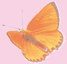 Смотрю и стройнею i_001.jpg