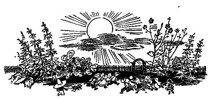 Незнайка в Солнечном городе nn_2_11.png