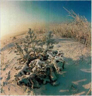 Поэтика фотографии. poetica_photografii-14.jpg