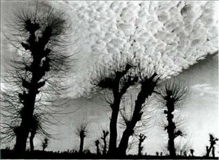 Поэтика фотографии. poetica_photografii-9.jpg