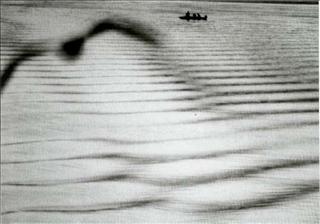 Поэтика фотографии. poetica_photografii-39.jpg