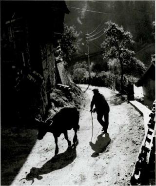 Поэтика фотографии. poetica_photografii-47.jpg