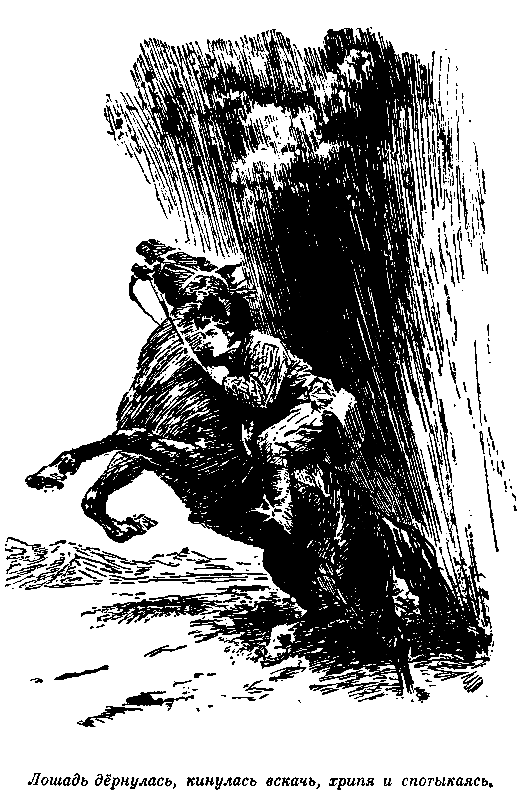 Солдатский ножик (сборник) pic_11.png