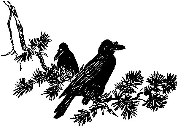 Полосатая спинка. Рассказы pic01.png