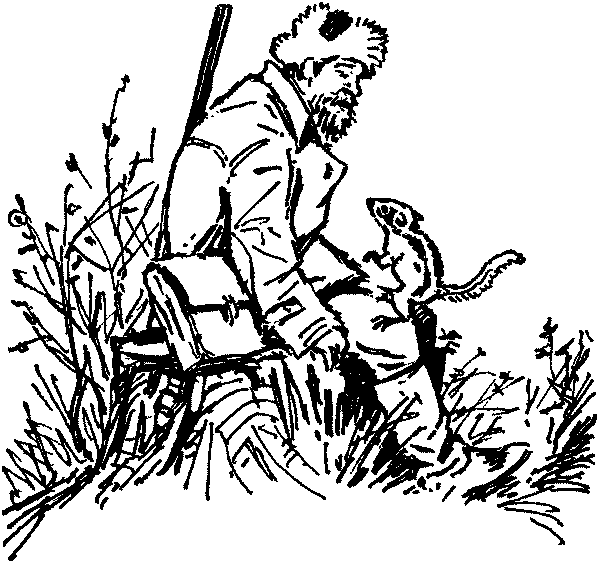 Полосатая спинка. Рассказы pic02.png