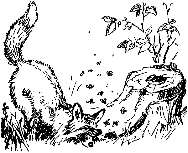 Полосатая спинка. Рассказы pic06.png