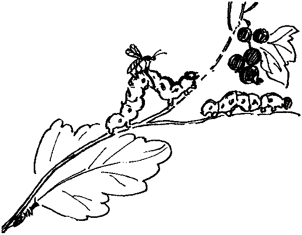 Полосатая спинка. Рассказы pic08.png