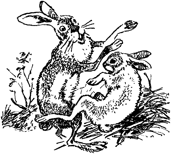 Полосатая спинка. Рассказы pic09.png