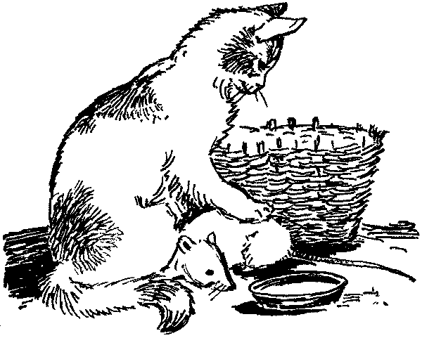 Полосатая спинка. Рассказы pic10.png