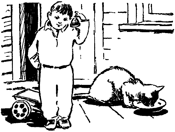 Полосатая спинка. Рассказы pic11.png