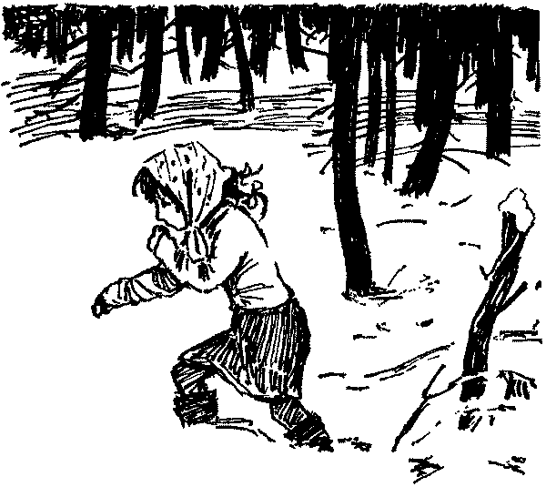 Полосатая спинка. Рассказы pic12.png