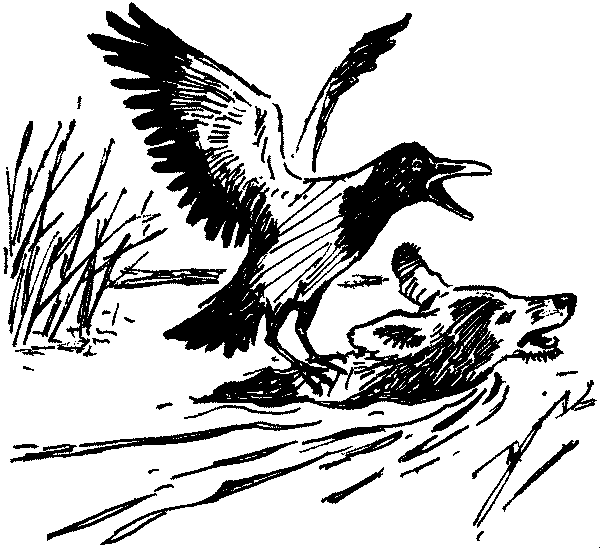 Полосатая спинка. Рассказы pic13.png
