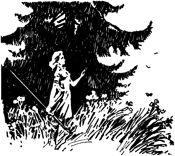Полосатая спинка. Рассказы pic14.png