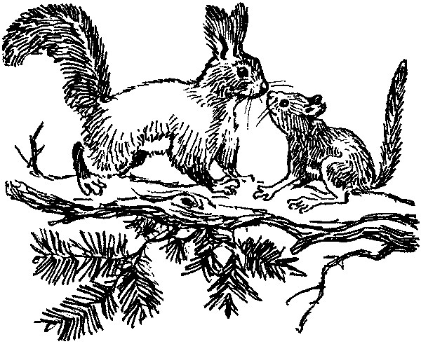 Полосатая спинка. Рассказы pic03.png
