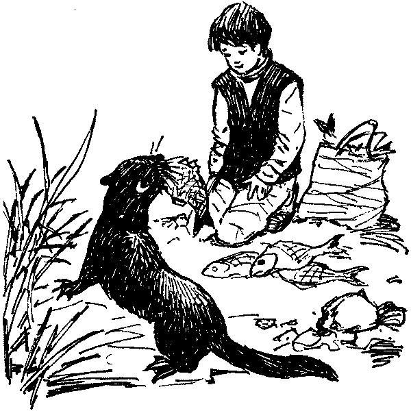 Полосатая спинка. Рассказы pic15.png