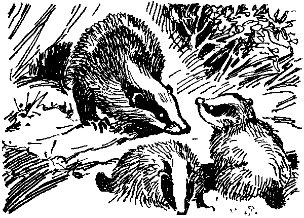 Полосатая спинка. Рассказы pic04.png
