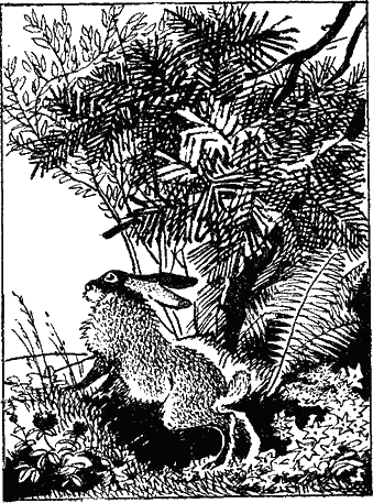 Бабушкины янтари i_006.png
