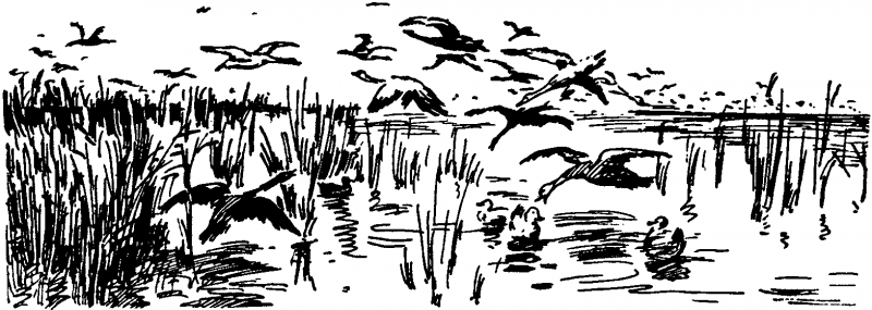 След за кормой (2-е изд.) pic210.png