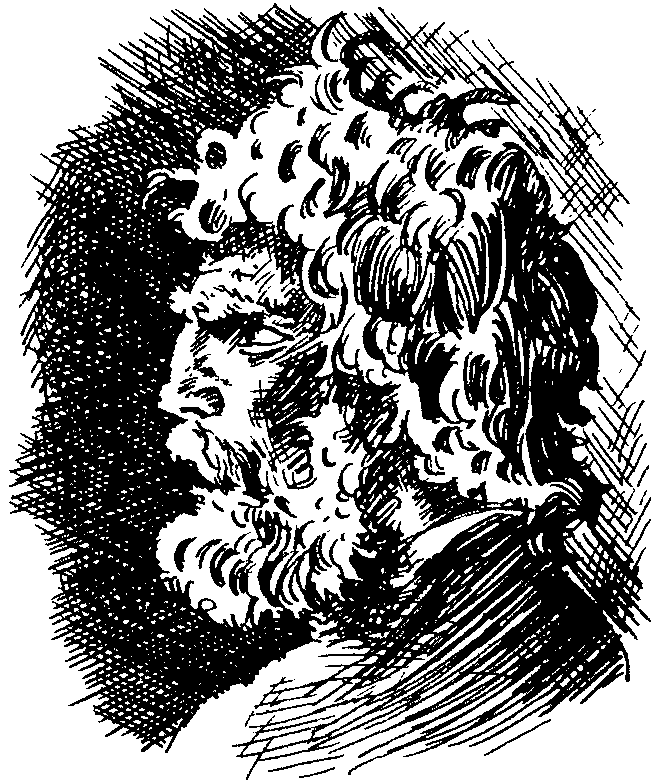След за кормой (2-е изд.) pic403.png