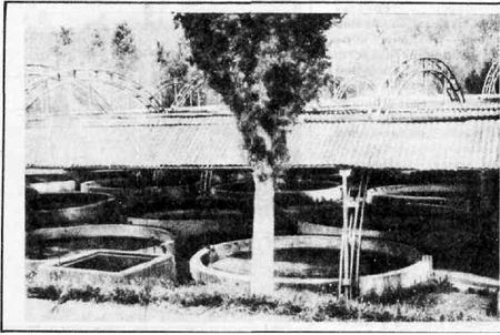 Рыбоводство и рыболовство (июнь 1982 г.) i_003.jpg