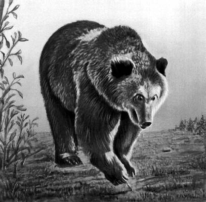 Большая Советская Энциклопедия (БУ) i010-001-272951727.jpg