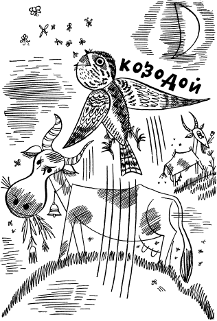 Чему верить, что проверить? i_008.png