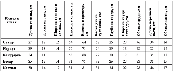Отечественные породы служебных собак азиатского происхождения i_007.png