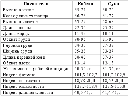 Отечественные породы служебных собак азиатского происхождения i_008.png