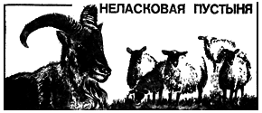 Этология стадных животных i_001.png