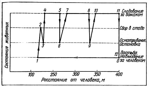 Этология стадных животных i_011.png