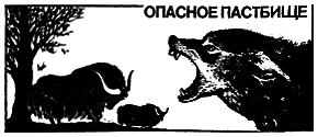 Этология стадных животных i_013.png