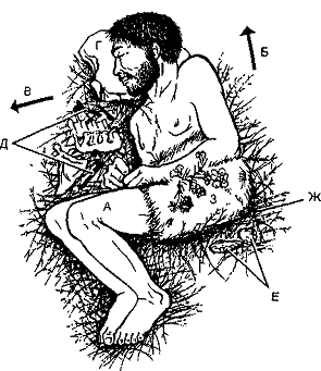 История религии. Книга 1 pic_3.png