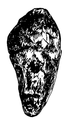 История религии. Книга 1 pic_13.png