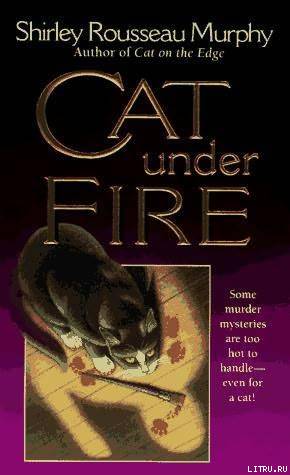 Cat Under Fire pic_1.jpg