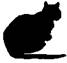 Cat Under Fire pic_7.jpg