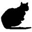Cat Under Fire pic_9.jpg