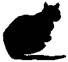 Cat Under Fire pic_12.jpg